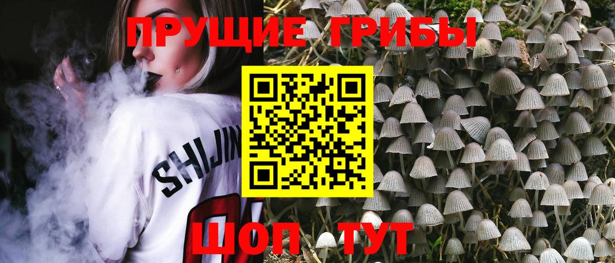 Галлюциногенные грибы ЛСД  Псилоцибиновые грибы Magic Shrooms  Алексеевка  Вход с VPN 